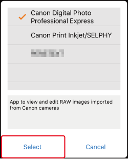 why does canon digital professional only work on raw images