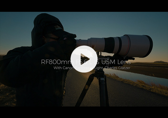 Youtube_cover_Introducing the Canon RF800mm F5.6 L IS USM