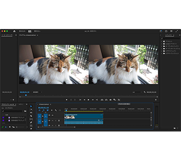 EOS VR Plugin for Adobe Premiere PRO sec_03_362