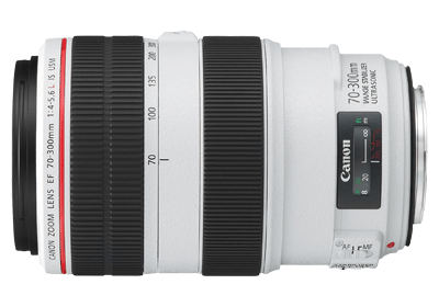 canon 300mm f4 l usm