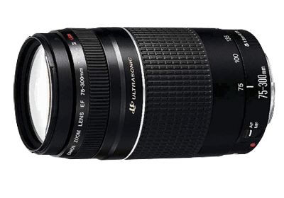 Canon EF 75-300mm F4-5.6(3) USM - レンズ(ズーム)